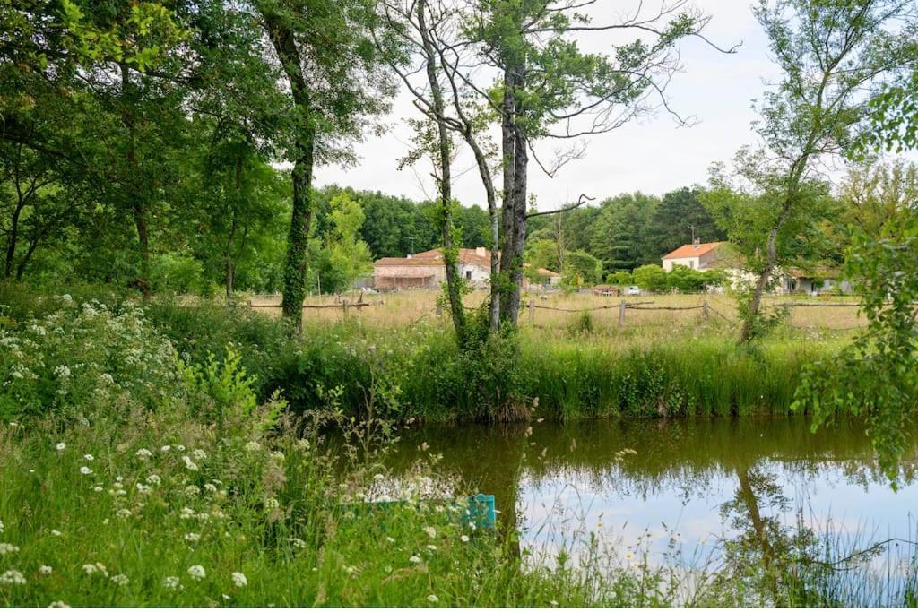 L'Evasion En Pierre Piscine Et Etang Prive Villa Sevremoine Dış mekan fotoğraf